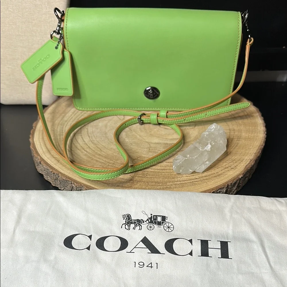 Coach Pistachio Dinky Glovetanned Green Leather Crossbody Shoulder Bag Purse - Picture 1 of 15